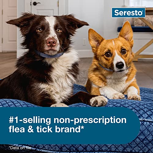  Seresto Small Dog Vet-Recommended Flea & Tick Treatment & Prevention Collar For Dogs Under 18 Lbs. | 8 Months Protection