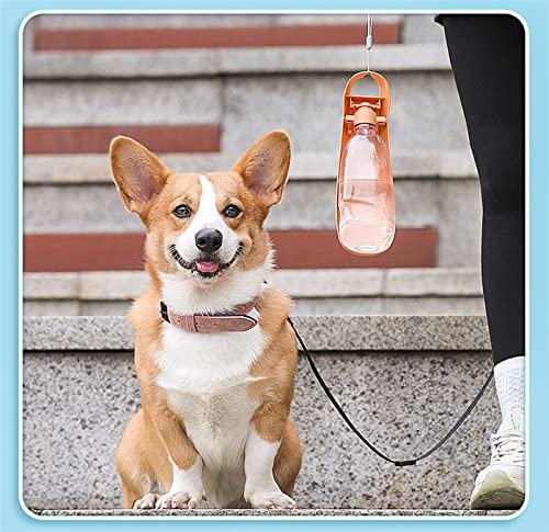  AYENCI Cat Automatic Water, 550Ml Pet Dog/Kitten Accompanying Water Cup Go Out Outdoor Feeding Water Drinking Fountain Portable Multi-Capacity Water Bottle (Color : Orange)