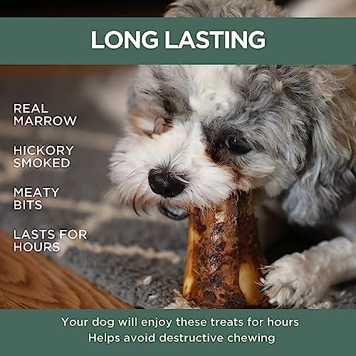  K9 Connoisseur Single Ingredient Dog Bones Made In USA For Large Breed Aggressive Chewers All Natural Long Lasting Meaty Mammoth Marrow Filled Bone Chew Treat Best For Dogs Over 50 LBS -Goliath 1 Pack