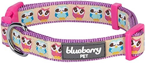  Blueberry Pet Essentials 10 Patterns Statement Busy Bees Designer Adjustable Dog Collar, Large, Neck 18"-26"