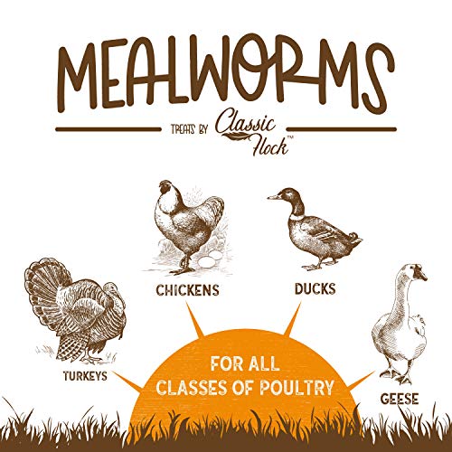  Classic Flock 5LB Dried Mealworms Non-GMO High Protein Treats For Chicken, Wild Birds, Ducks, Fish, Hedgehogs, Lizards, Reptiles