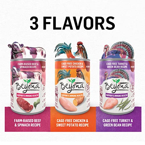  Purina Beyond Gravy, Beef, Chicken Or Turkey In Gravy Ground Entree Grain Free Wet Dog Food Variety Pack