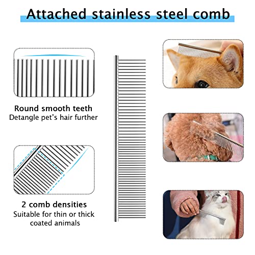  Dog Bowls Small Size Dogs And Dog Undercoat Rake