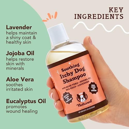  Natural Dog Company Itchy Dog Shampoo, 12 Oz., Dog Dry Skin Treatment, Dog Itch Relief, Hypoallergenic, Plant Based Ingredients, Deodorizing Dog Shampoo, Relief From Skin Allergy Symptoms