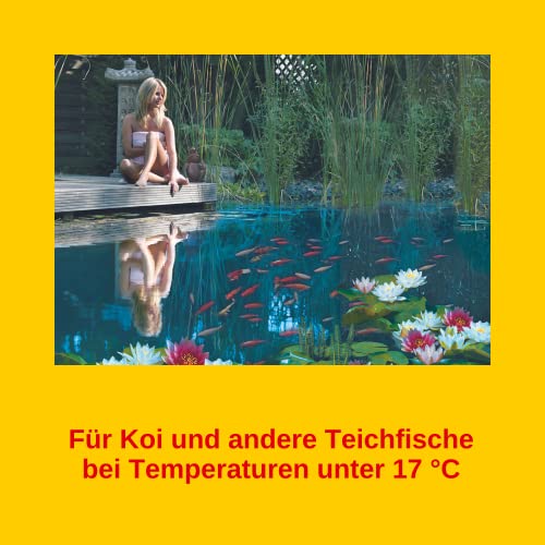  Sera 7009 KOI Professional Spring/Autumn 15.4 Lb 7 Kg Pet Food, One Size