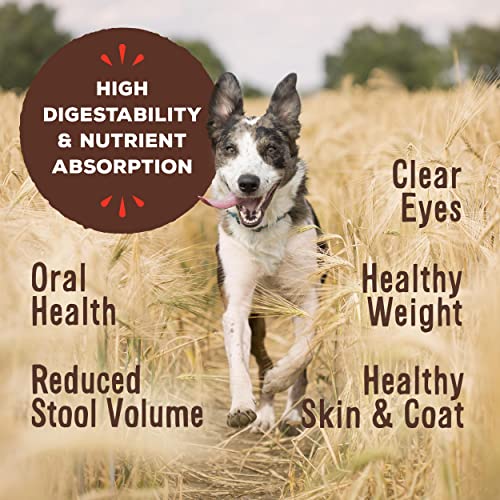 Primal Freeze Dried Dog Food Beef Nuggets, Complete Meal Healthy Grain Free Raw Dog Food, Crafted In The USA (14 Oz)