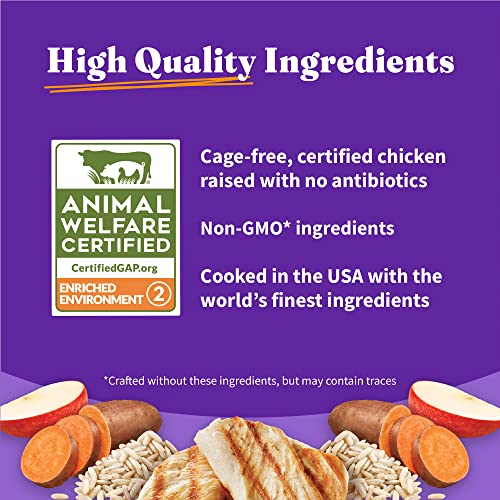  Halo Holistic Dog Food, Complete Digestive Health Cage-Free Chicken And Brown Rice Recipe, Dry Dog Food Bag, Small Breed Formula, 3.5-lb Bag