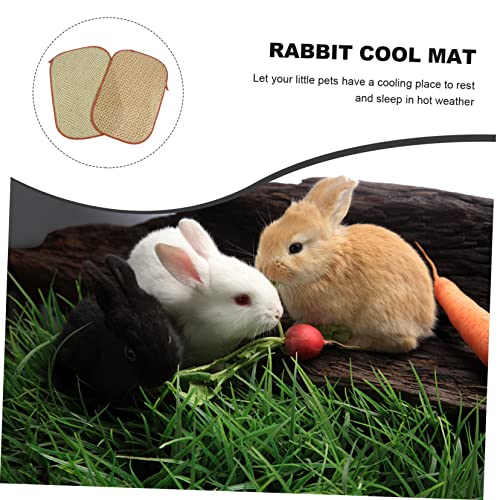  POPETPOP 4 Pcs Rabbit Mat Toys For Guinea Pigs Kitten Toys Guinea Pig Chew Toys Small Animal Grass Mat Small Animal Bedding Hamster Cooling Mat Cooling Grass Mat Natural Pet Bed