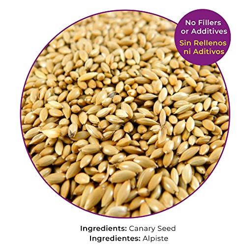  Birds LOVE Alpiste 100% Non-GMO Double Cleaned Canary Seed For Canaries And Finch Birds With No Fillers Or Additives | Bird Food Also Deal For Parakeets, Conures, And Budgies