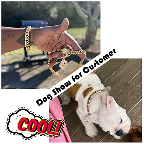  PRADOG Gold Chain Dog Collar With Zirconia Buckle Stainless Steel Chain Collars Cuban Link Dog Collar Designer Bling Puppy Necklace (10mm, 18")