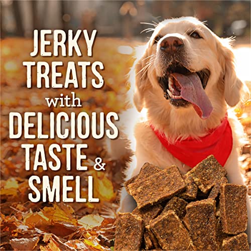  Merrick Dog Jerky, Slow Cooked BBQ Beef Dog Treats, Texas Style Glazed Jerky Strips, Beef Jerky Dog Treats - 10 Oz. Pouch