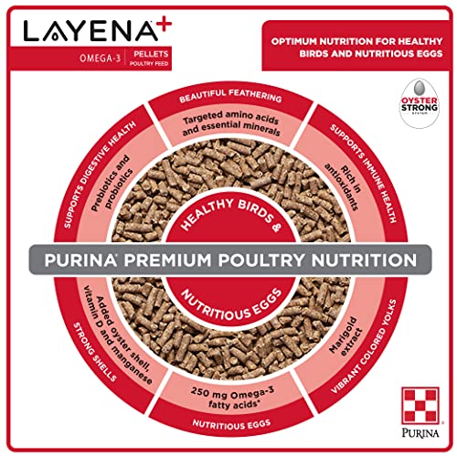  Purina Layena+ | Nutritionally Complete Layer Hen Feed | Omega 3 Formula - 40 Pound (40 Lb) Bag