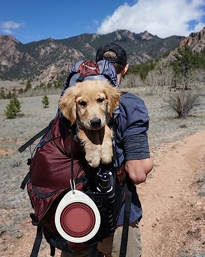  Collapsible Dog Bowl With Stand, Portable Foldable Food Dishes With Carabiner Clip, Pet Bowl With A Support, Travel Dog Cat Water Bowl (Pink)