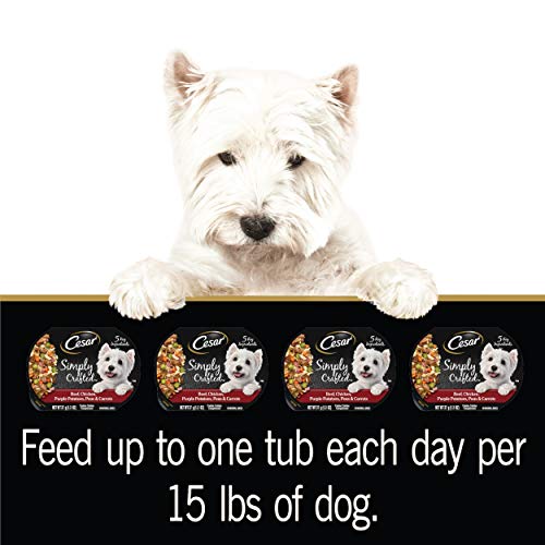  CESAR Simply Crafted Adult Wet Dog Food Meal Topper, Beef, Chicken, Purple Potatoes, Peas & Carrots, (10) 1.3 Oz. Tubs