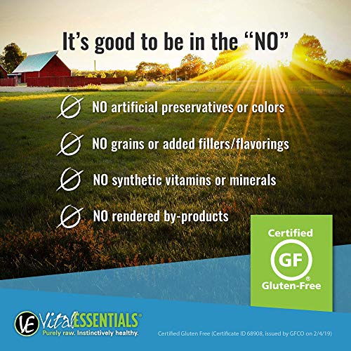  Vital Cat Vital Essentials Minnows Freeze-Dried Cat Treats - All Natural Raw Treat - Made & Sourced In USA - Grain Free - 0.5 Oz Resealable Pouch - 3 Pack
