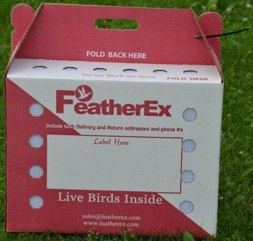  FeatherEx 3 Pack Premier Shipping Boxes