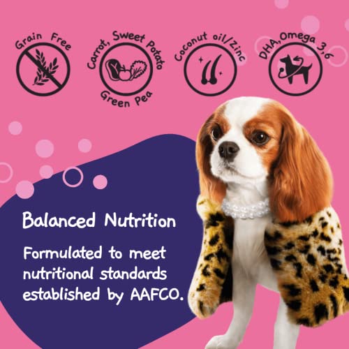  MOOCHIE Wet Salmon Dog Food - Skin And Coat - Grain Free Wet Dog Food - Made With Salmon, Vegetables, Coconut Oil - No Added Preservatives Or Artifical Flavoring - For Small Breeds - 12 X 85g Pouch