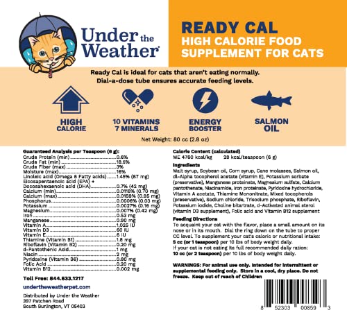  Under The Weather Pet | Ready Cal For Cats 100cc | High Calorie Supplement | Cat Weight Gainer And High Calorie Booster | 10 Vitamins, 7 Minerals & Omega Fatty Acids (for Cats 100cc)