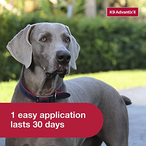  K9 Advantix II XL Dog Vet-Recommended Flea, Tick & Mosquito Treatment & Prevention | Dogs Over 55 Lbs. | 2-Mo Supply