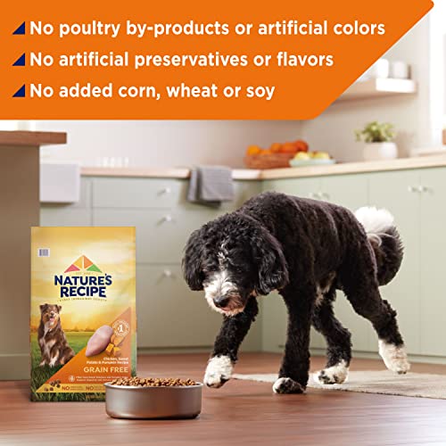  Nature′s Recipe Dry Dog Food, Grain Free Chicken, Sweet Potato & Pumpkin Recipe, 24 Lb. Bag