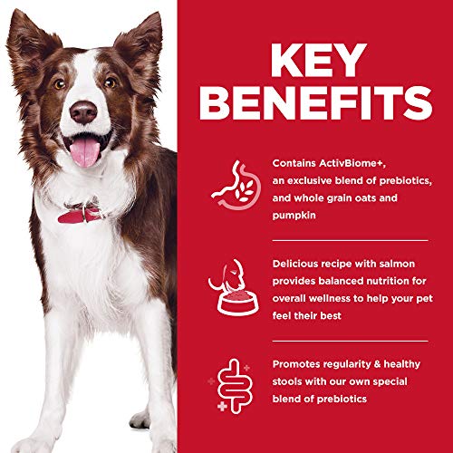  Hill's Science Diet Adult Dog Dry Food, Perfect Digestion, Salmon, Oats, & Rice Recipe, 12 Lb. Bag