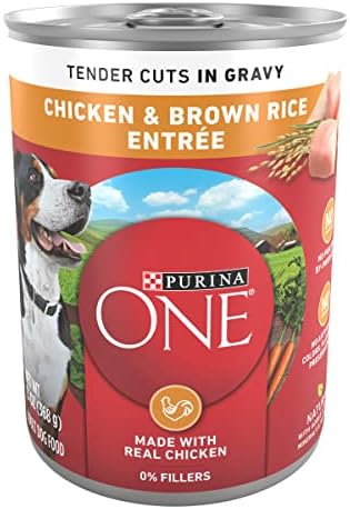  Purina ONE Tender Cuts In Wet Dog Food Gravy Chicken And Brown Rice Entree - (12) 13 Oz. Cans