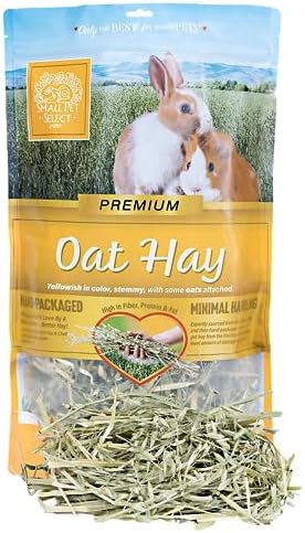  Small Pet Select 1st Cut Timothy Hay Pet Food For Rabbits, Guinea Pigs, And Other Small Animals, Easy To Store Box, 20 LB