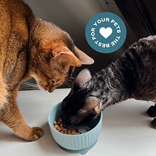  Silicone Non-Slip Small Pet Watering Bowl, Cat Food Bowl, Dog Feeding Bowl, Kitten Feeding Bowl (SoftPink)