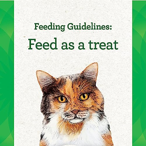  Greenies Pill Pockets Salmon Treats For Cat 45 Oz. 1 Pk