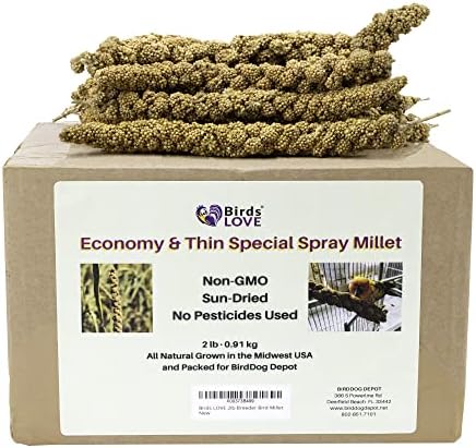  Birds LOVE Wholesome & Lovely Spray Millet Non-GMO No Pesticide (No Stems Only Edible Tops) For Parrots Birds Cockatiel Lovebird Keets Finch Canary All Parrots Healthy Treat-5lbs…