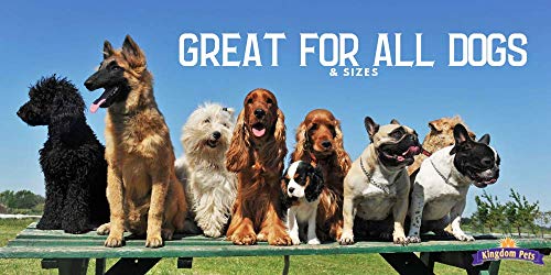  Kingdom Pets Duck Breast Jerky, Premium Treats For Dogs, 40 Oz. Bag