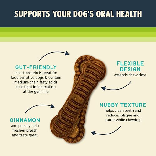  Jiminy's Dental Chews Extra Small – Cinnamon Dog Dental Chews, Teeth Cleaning Dog Treats, Reduce Tartar And Plaque, Made In USA, Cruelty Free, Dog Breath Freshener – 38 Chews