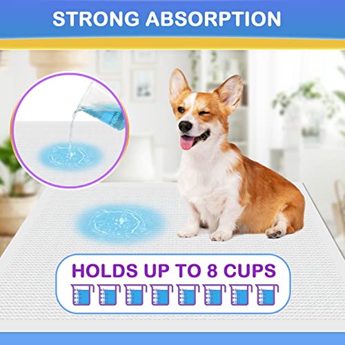  IMMCUTE Dog Pee Pads 23"x36" -30 Count | Puppy Pee Training Pads Super Absorbent & Leak-Proof | Disposable Pet Piddle And Potty Pads For Puppies | Dogs | Doggie| Cats | Rabbits