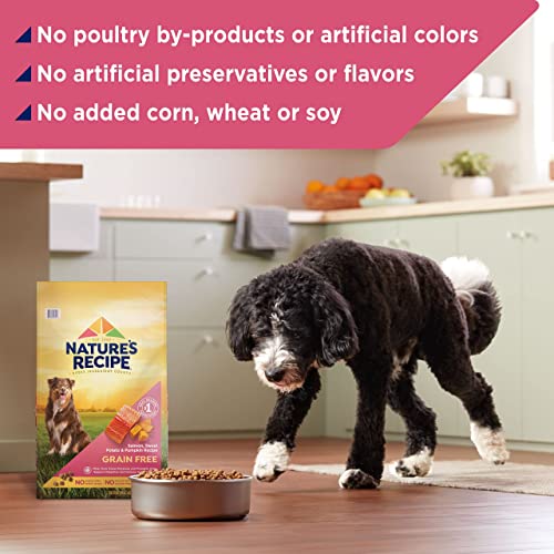  Nature′s Recipe Dry Dog Food, Grain Free Salmon, Sweet Potato & Pumpkin Recipe, 24 Lb. Bag