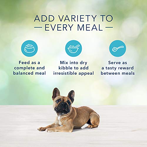  Blue Buffalo Freedom Grain Free Natural Adult Small Breed Wet Dog Food, Chicken 5.5oz Cans (Pack Of 24)