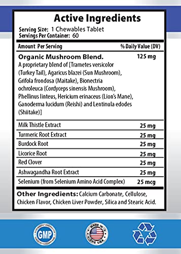  Antioxidant Treats For Dogs - Advanced Dog Immune Support - Veterinarian Recommended Complex - Ashwagandha For Dogs - 2 Bottles (120 Treats)