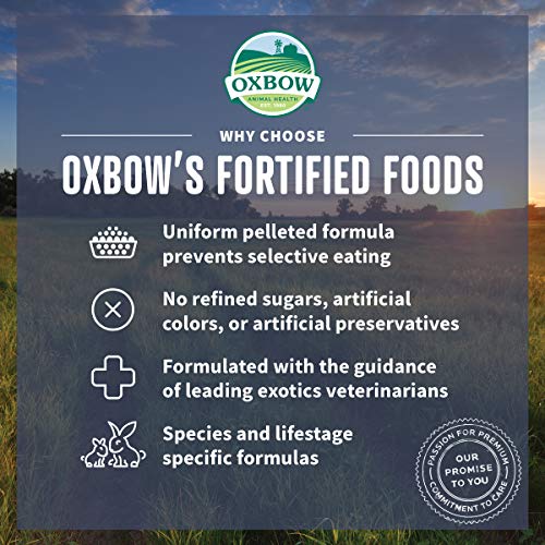  Oxbow Essentials Adult Guinea Pig Food - All Natural Adult Guinea Pig Pellets - 10 Lb.