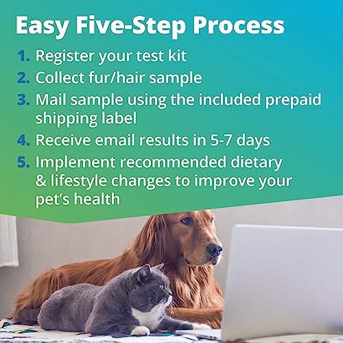  5Strands Pet Nutrition Deficiency Test, 40 Vitamins And Minerals Tested, At Home Dog Or Cat Hair Sample Collection Kit, Results In 7 Days, Works For All Ages And Breeds - Supplements, Diet