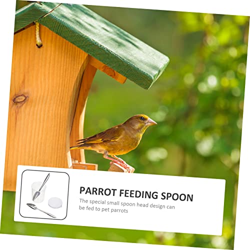  Iplusmile 3 Sets Parrot Feeding Spoon Pet Feeder Pigeon Feeder Accessories Birds Hand Food Feeder Water Feeding Tube Bird Supply Convenient Bird Spoon Bird Feeding Spoon Metal Hose