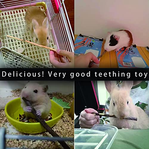  CHUHUAYUAN Natural Apple Sticks, 500g Treats Food For Small Animals, Chew Toys For Chinchilla Guinea Pigs Rabbit Squirrel Hamster Bunny