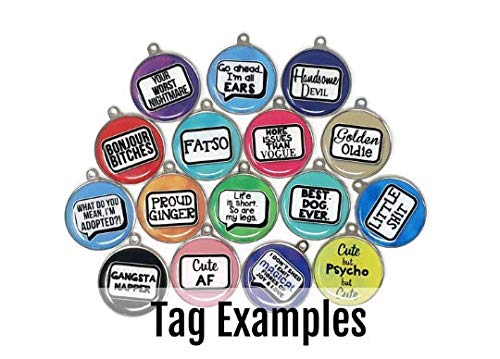  Wag-A-Tude Tags Special Diet On Medication Pet ID Tag - Pet Tag For Dogs On Special Diet And Medication (Large)