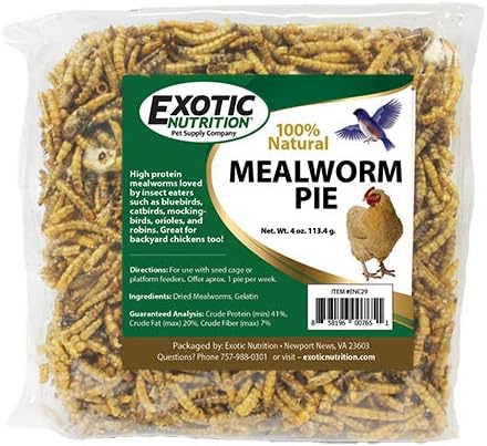  Exotic Nutrition Mealworm & Sunflower Pie - Healthy Natural Suet Basket Feeder Treat - For Backyard Chickens And Wild Birds