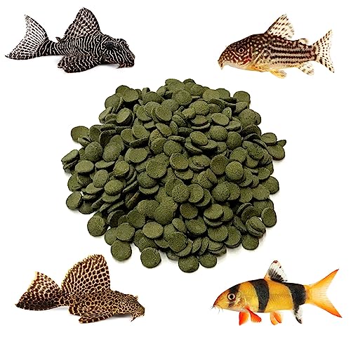  BIG KAHUNA TROPICAL FISH 8 Mm Alage Wafer - Sinking Algae Wafers That Provides Balanced Diet For Plecos, Snails, Cory Cats, Catfish, Shrimp, And Crayfish (10 Pound)