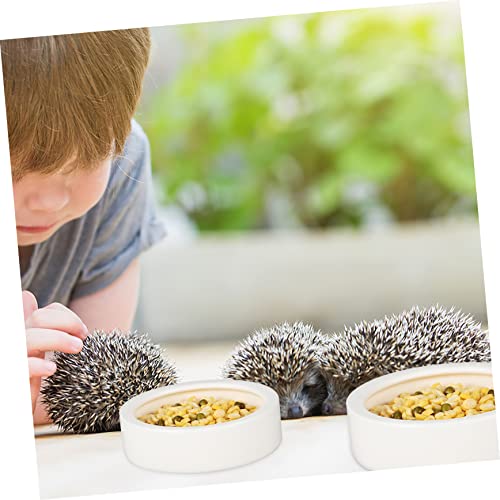  Balacoo 3pcs Animal Drinking Fountain Quail Waterer Hamster Food Dish Food Feeder Rabbit Water Bottle Automatic Rabbit Feeder Cat Food Bowl Ceramics Chinchilla Hamster Supplies