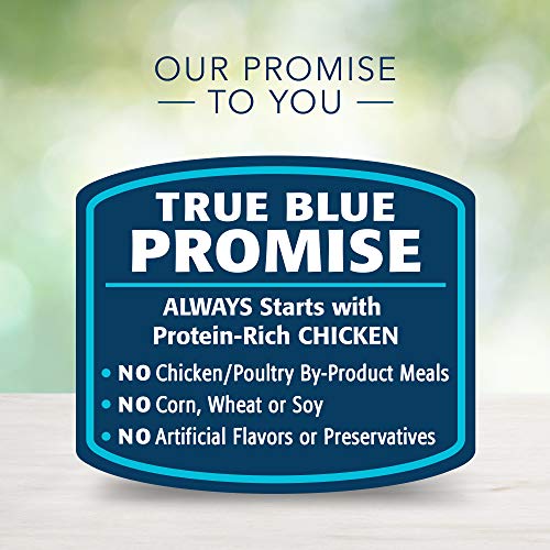  Blue Buffalo Freedom Grain Free Natural Adult Small Breed Wet Dog Food, Chicken 5.5oz Cans (Pack Of 24)