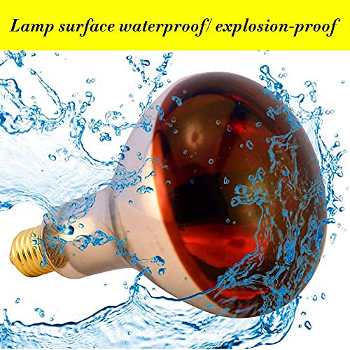  BONGBADA 6 Pack Heat Lamp Bulb R40 250 Watt Painted Red Infrared Glass Lamp Bulb For Food Service, Brooder Bulb, Chicks, Pet, Bathroom