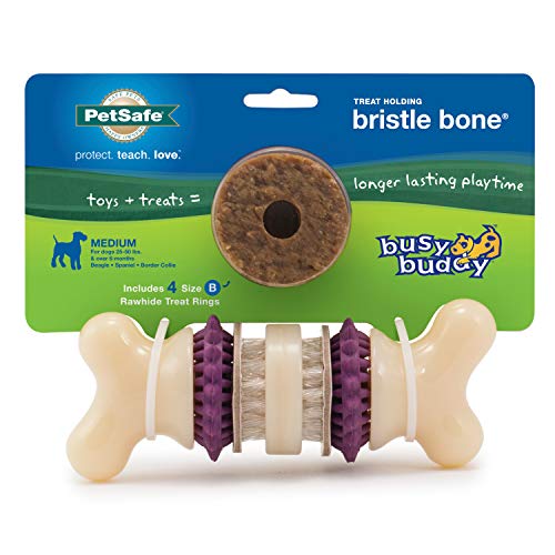  PetSafe Treat Rings - 16 Rings - Size B - Original & Busy Buddy Bristle Bone - Treat-Holding Toy For Dogs - Purple, Large
