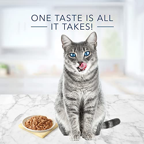  Blue Buffalo Tastefuls Natural Flaked Wet Cat Food, Salmon Entrée In Gravy 3-oz Cans (Pack Of 24)