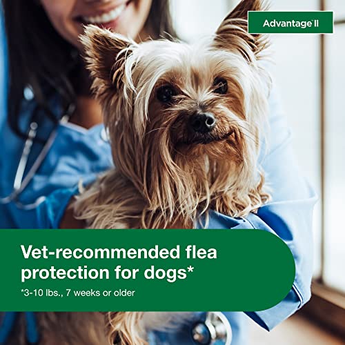  Advantage II Small Dog Vet-Recommended Flea Treatment & Prevention | Dogs 3-10 Lbs. | 4-Month Supply