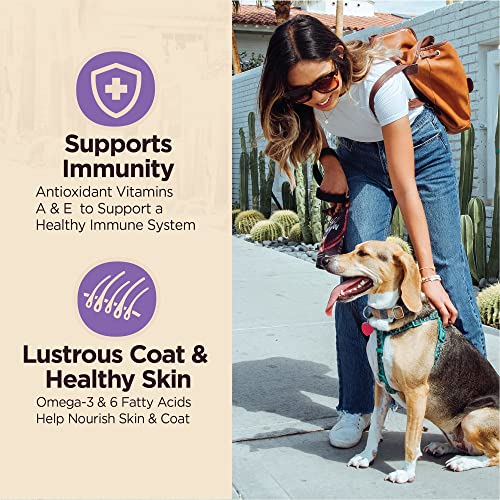  Wellness CORE Digestive Health Dry Senior Food With Wholesome Grains, Advanced Age For Dogs Over 7-Years Old, For Dogs With Sensitive Stomachs, Made In USA With Real Chicken (Senior, 24-Pound Bag)